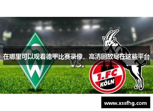 在哪里可以观看德甲比赛录像，高清回放尽在这些平台