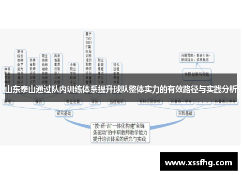 山东泰山通过队内训练体系提升球队整体实力的有效路径与实践分析