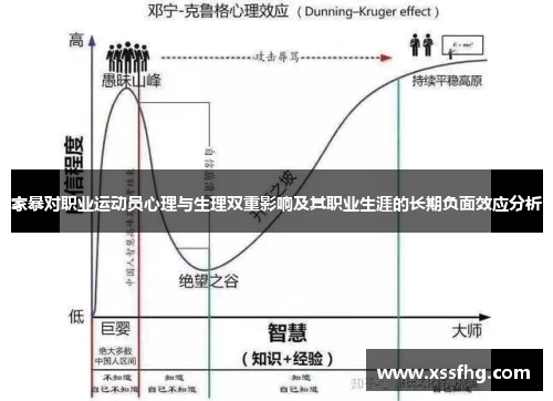 家暴对职业运动员心理与生理双重影响及其职业生涯的长期负面效应分析