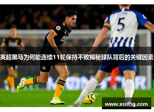 英超黑马为何能连续11轮保持不败揭秘球队背后的关键因素 英超黑马为何能连续11轮保持不败揭秘球队背后的关键因素