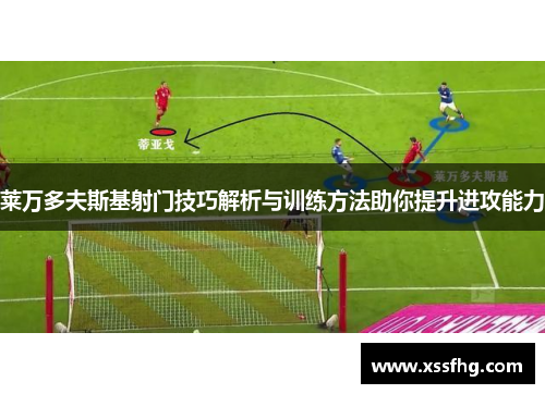 莱万多夫斯基射门技巧解析与训练方法助你提升进攻能力